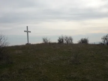 Божигробски босилек лекува Йерусалимово