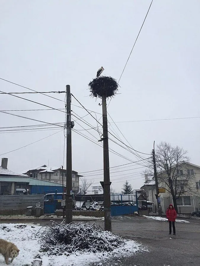 Зимата се завърна с априлски сняг 