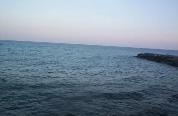 Италианските власти спасиха 1500 нелегални имигранти