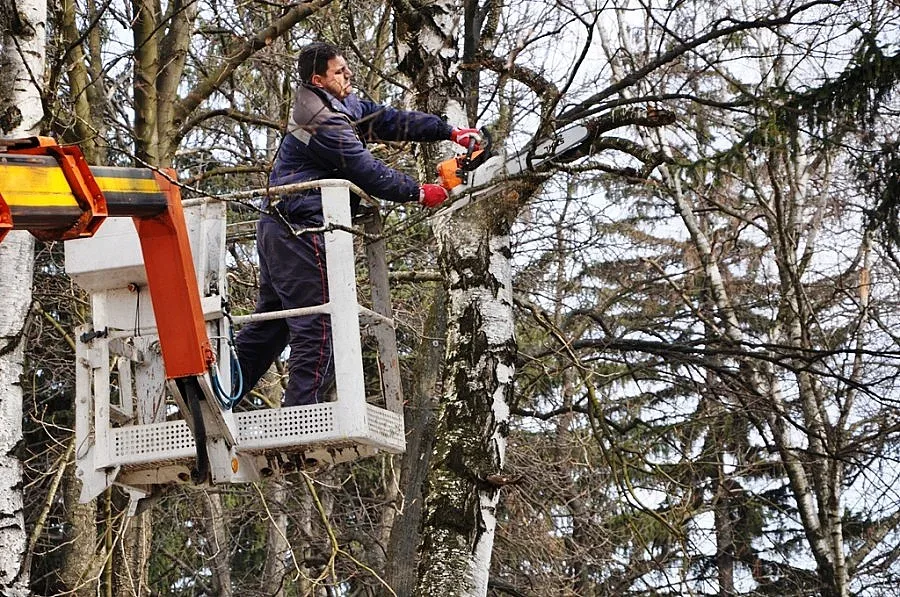 Община Разлог с пролетна уборка по села и паланки
