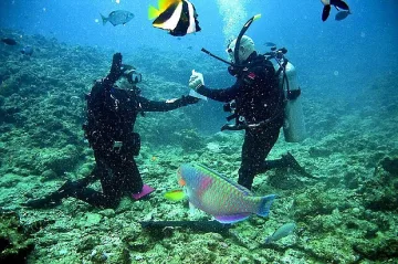 Водолази празнуват Великден на морското дъно