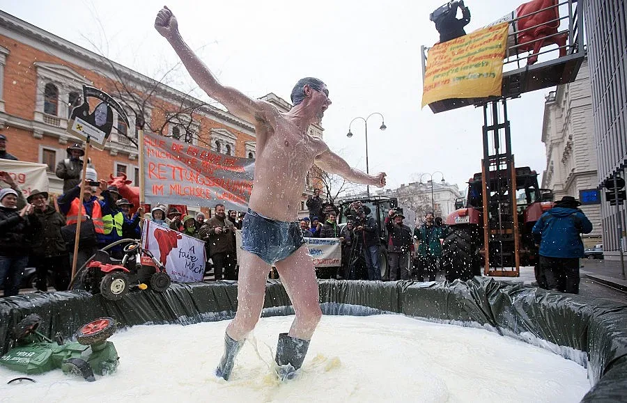 Паднаха квотите за мляко в ЕС