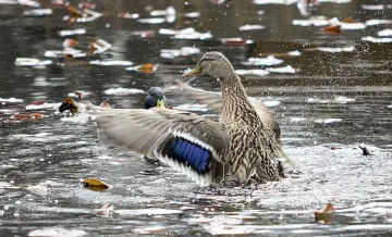 Предстои слънчев четвъртък 
