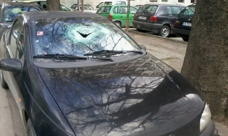 10 коли потрошени във Варна