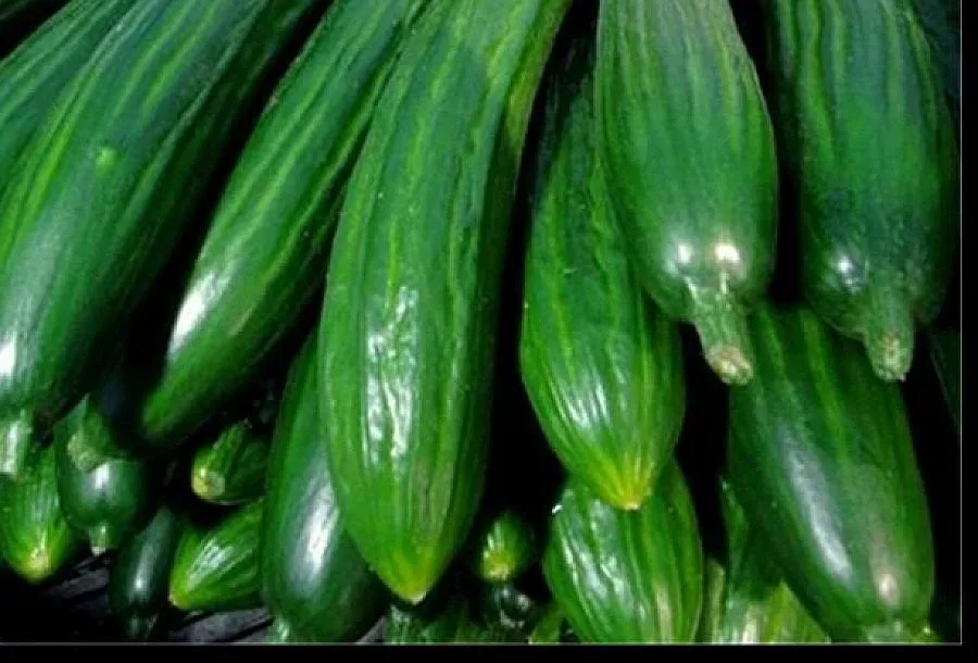 Данъчни раздават краставици