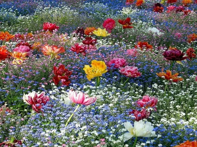 Ето кога се падат Цветница и Великден тази година