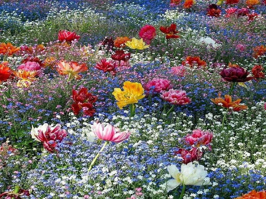 Болярите празнуват Цветница в парка