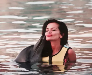 Дубай стана Слънчев бряг за поп фолка