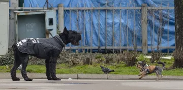 Просветва във вторник сутрин 