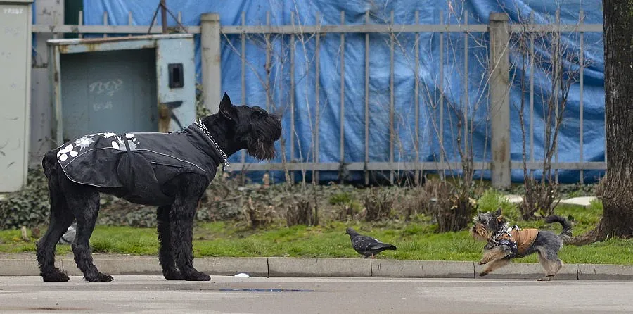 Просветва във вторник сутрин 