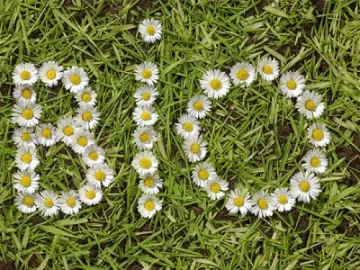 ЕС дава 151 млн. евро за биоземеделие