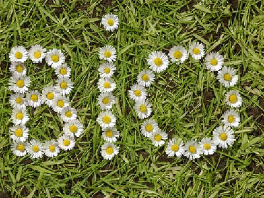 ЕС дава 151 млн. евро за биоземеделие