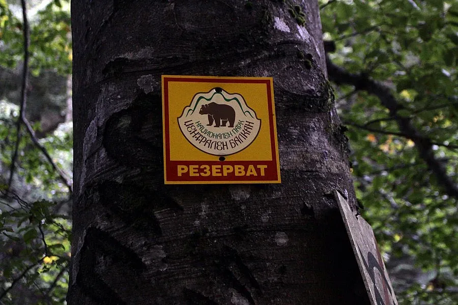 25-метрови кули пазят резерватите от пожари