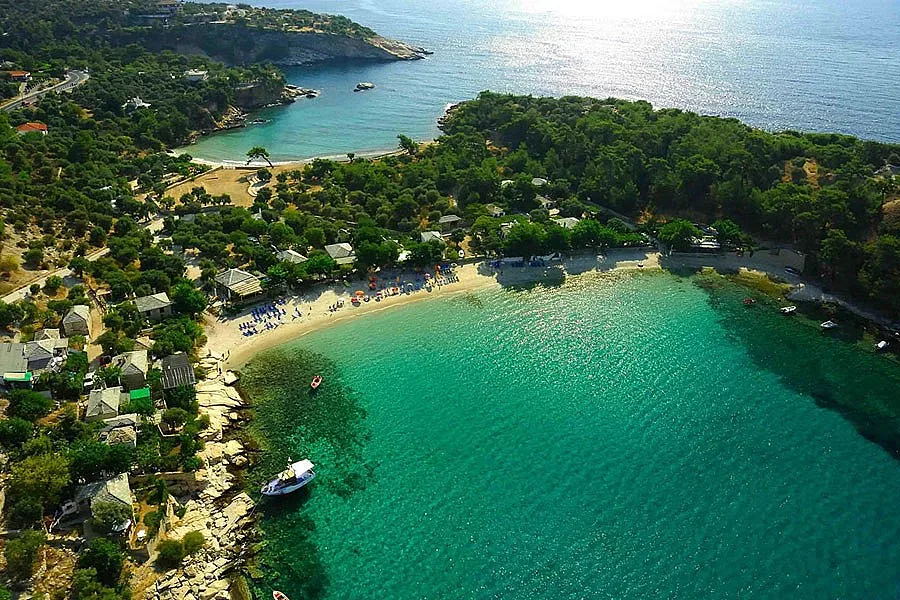 Столетник стяга куфарите за Тасос