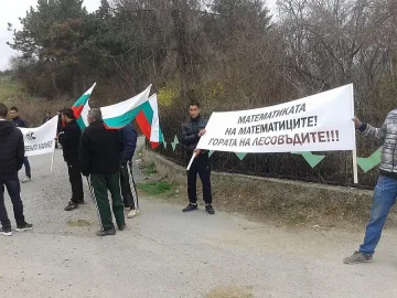 Дърводобивните фирми блокираха границата (ОБЗОР)