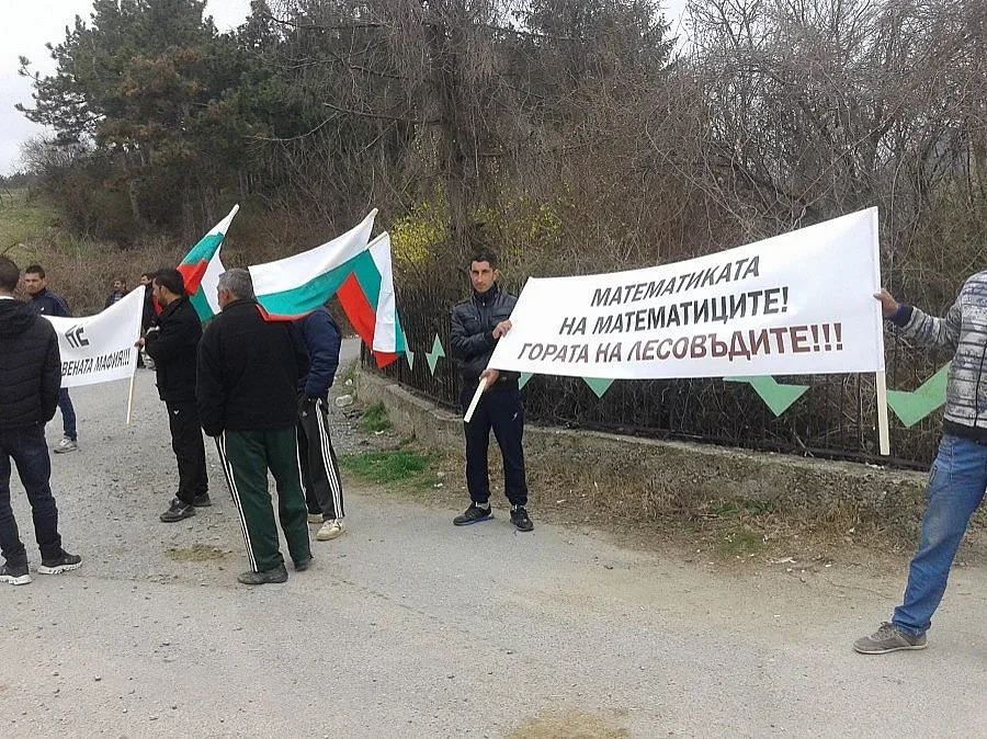 Дърводобивните фирми блокираха границата (ОБЗОР)