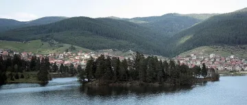 Половината от избирателите в Сърница вече са гласували