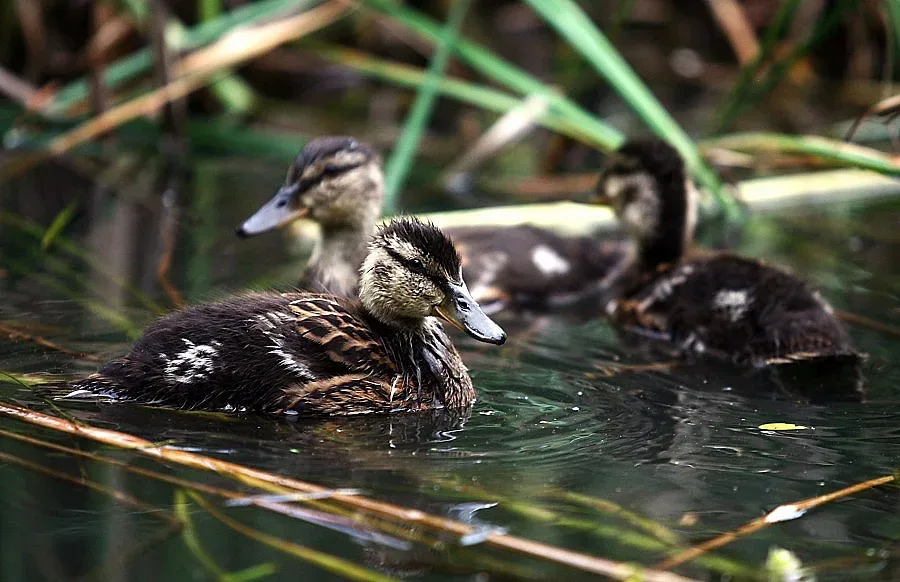 По-топло време в неделя