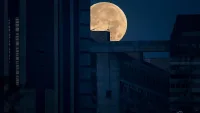 Нощта на чудесата! Царевичната луна сбъдва желания