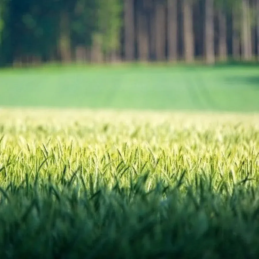 Израел дава рамо на земеделието ни