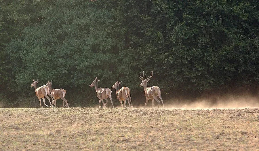 "Шерба" в туристическите маршрути на три общини