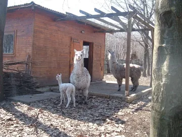 Дни на отворените врати в Центъра за защита на животните