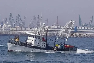 Нещо уникално изскочи от морето ни. Рибарите се изумиха /СНИМКА/