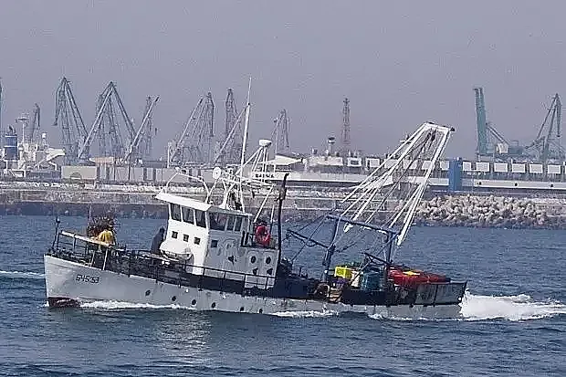 Нещо уникално изскочи от морето ни. Рибарите се изумиха /СНИМКА/