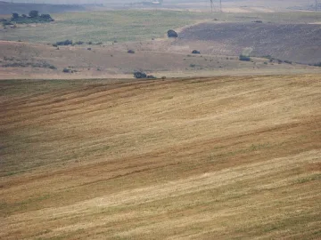 Българите не са свикнали да сключват земеделски застраховки