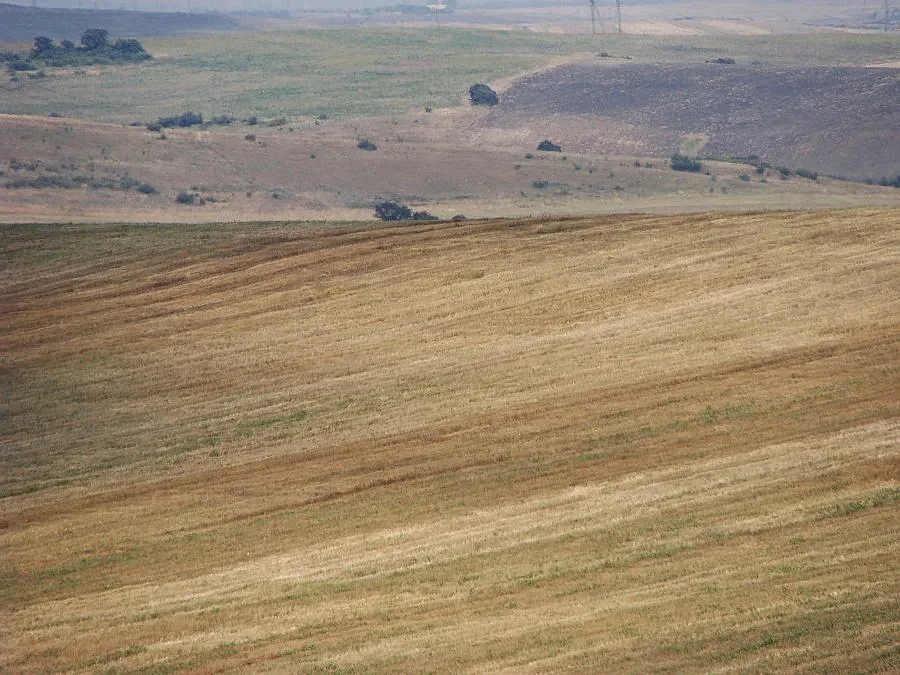 Българите не са свикнали да сключват земеделски застраховки