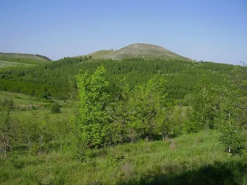 Сливен на мирен протест срещу продажбата на гори