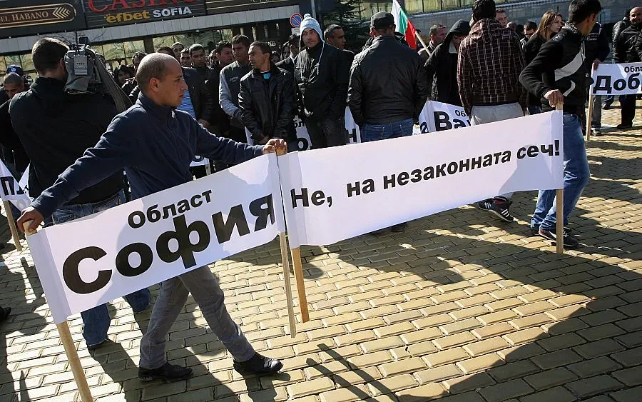 Забраната за износ на дървесина пада от април