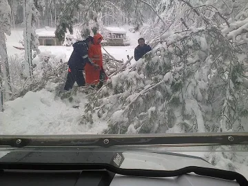 600 хиляди лева помощ за унищожени животни в бедствието