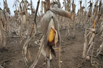 Иде трудна година за земеделците във Видинско