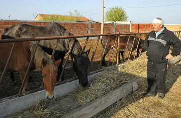 Роми малтретираха работнички в частна ферма