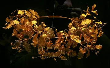 Чудесата тръгват към Лувъра в 10 ч. днес