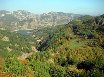 Петима намериха смъртта си заради снежното бедствие в Кърджалийско