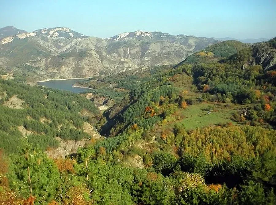 Петима намериха смъртта си заради снежното бедствие в Кърджалийско