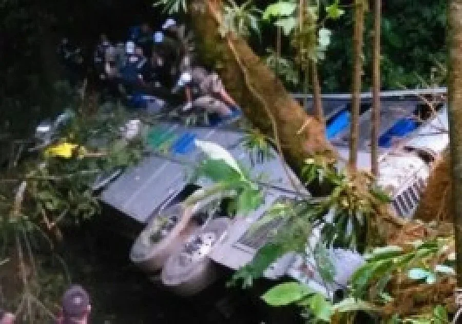 Автобус падна в пропаст в Бразилия, над 50 са загинали