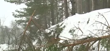 Снежното бедствие взе още две жертви