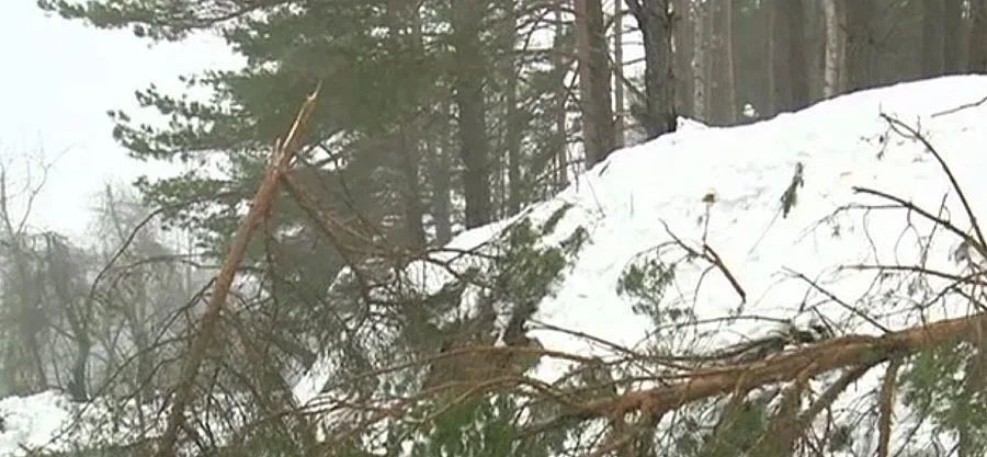 Снежното бедствие взе още две жертви