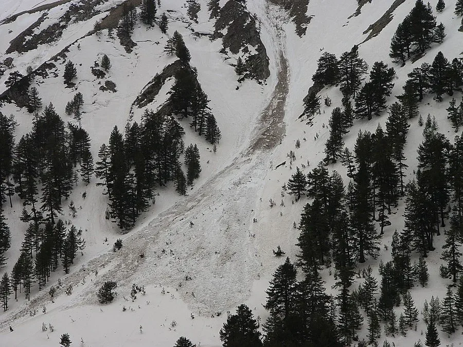 Петчасова акция в Пирин спаси майка и син