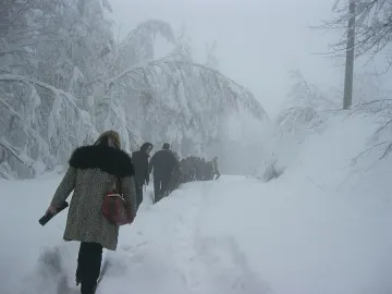 Ардинско все още без ток 