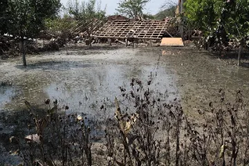 Високи подпочвени води наводниха домове в Пловдивско