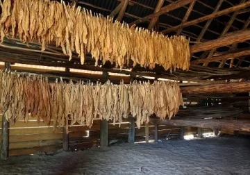 Арести заради нарязан тютюн