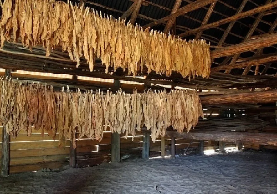 Арести заради нарязан тютюн