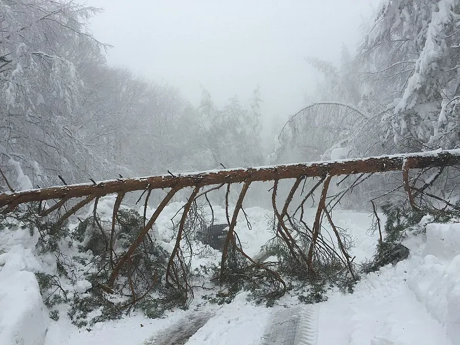 Въведоха денонощно наблюдение на язовирите от каскада „Арда”