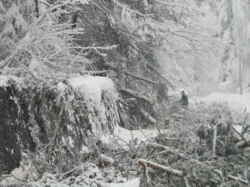Пуснаха тока в Мадан