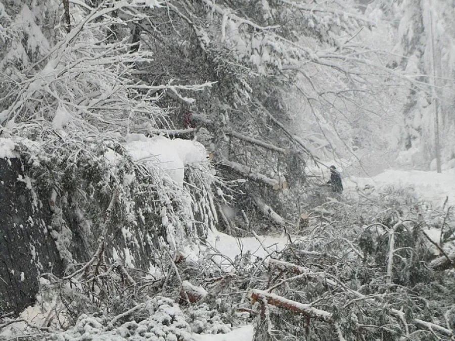 Пуснаха тока в Мадан