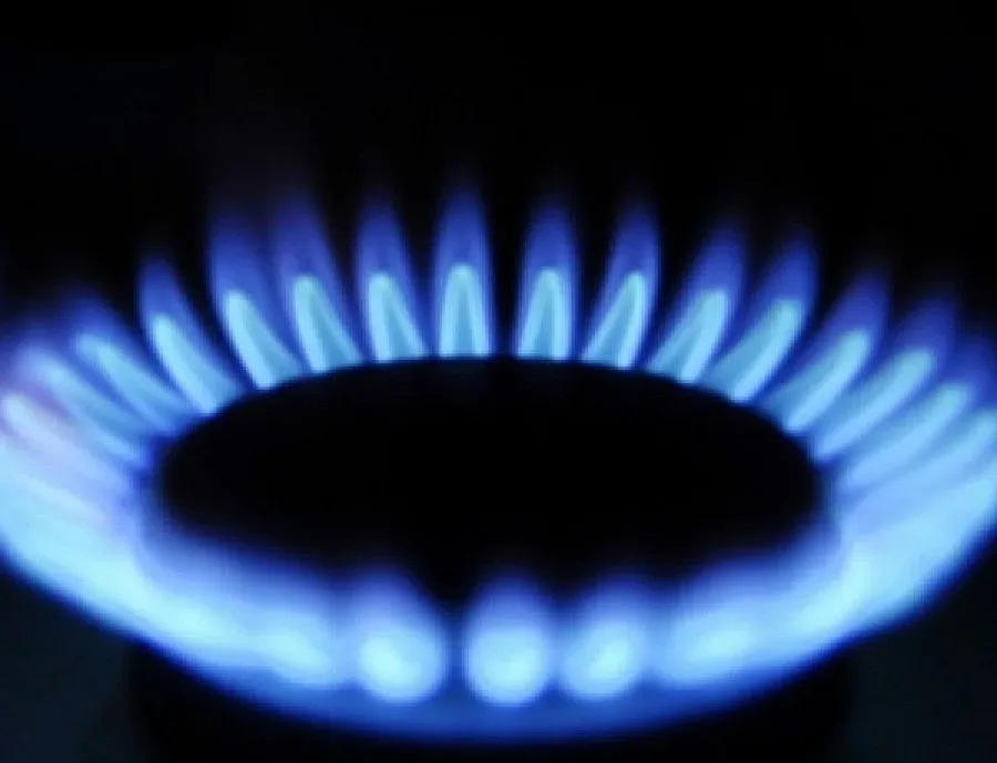 Обявиха поръчка за "Южен поток"